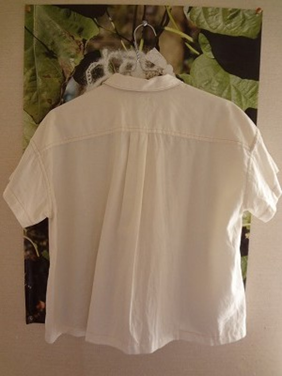 オーガニックコットン　ひょうたんフリルシャツ 4枚目の画像