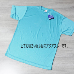 吸汗速乾＆UVカットTシャツ☆猫☆アクアブルーL 3枚目の画像
