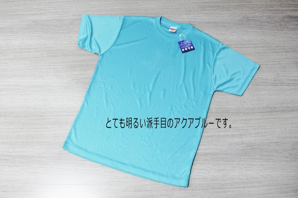 吸汗速乾＆UVカットTシャツ☆猫☆アクアブルーL 3枚目の画像