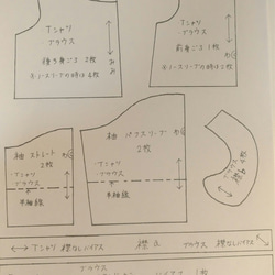  第3張的照片