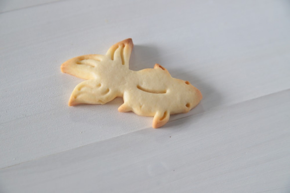 金魚【スタンプのみ】クッキー型・クッキーカッター 2枚目の画像