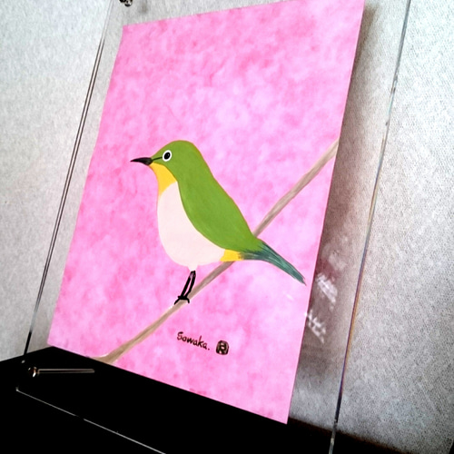 油彩画 メジロ　約20cm x 20cm 油彩画 メジロ 約20cm x 20cm