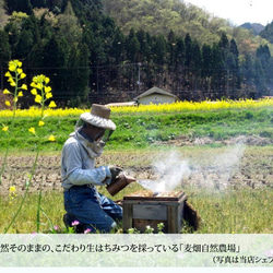 Assortiment 　miel　　-　はちみつとお菓子のギフトボックス　-　オーガニック　ギフトに 3枚目の画像