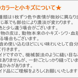 【牛革】桜のパスケース・定期入れ/さくら・サクラ/レディース 7枚目の画像