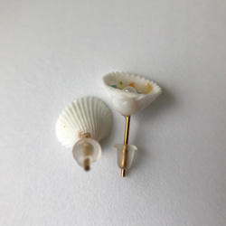 貝殻と鱗のピアス 2枚目の画像