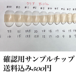 【ネイルチップ1】クール・ボタニカルレース 4枚目の画像