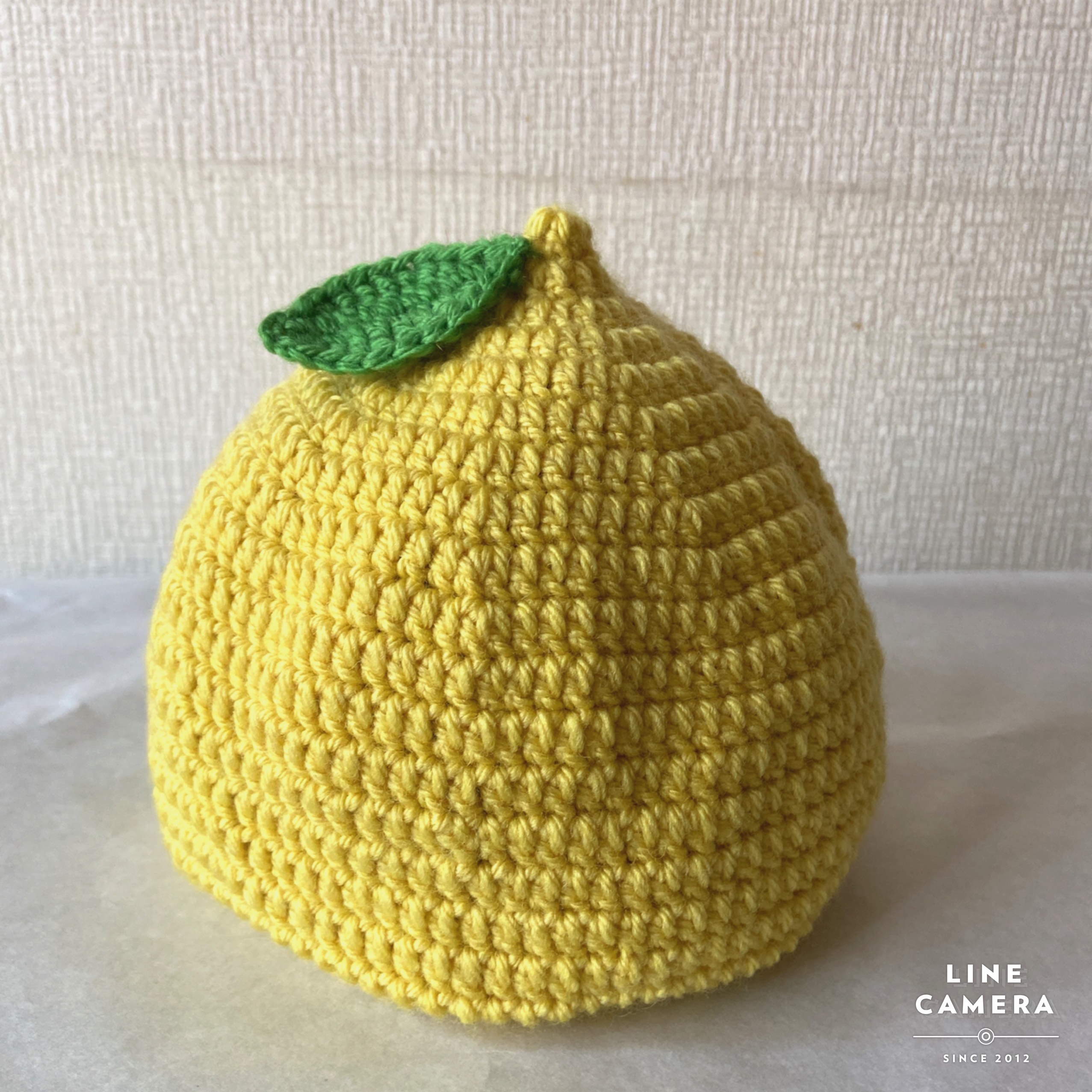 レトロ　ガッケンニットシリーズ　ニットブック レモン　Lemon　編み物 レトロ ガッケンニットシリーズ ニットブック レモン Lemon