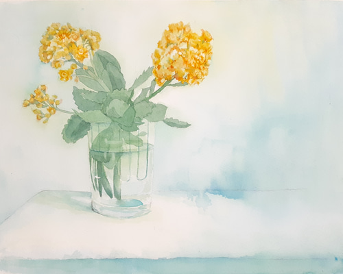 送料無料「カランコエの黄色い花」透明水彩原画F6サイズ額装込み 絵画
