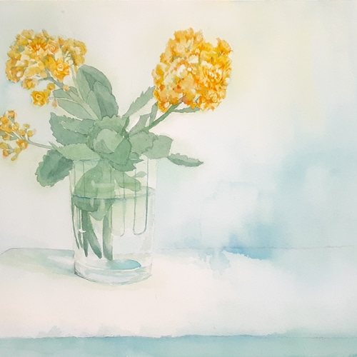 送料無料「カランコエの黄色い花」透明水彩原画F6サイズ額装込み 絵画