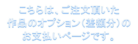 オプション差額分のお支払い 1枚目の画像