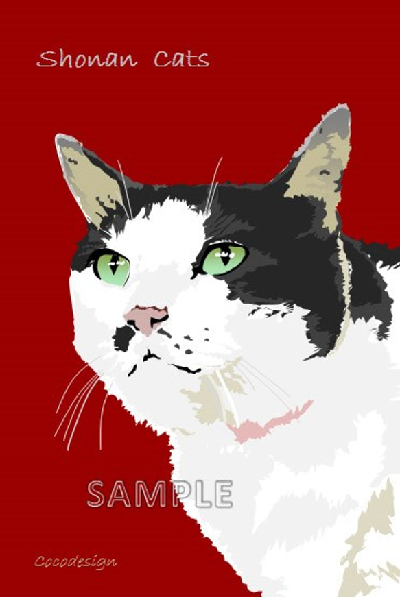 ポストカード4枚セット　湘南キャッツ　⑦　うす色ぶち猫 2枚目の画像