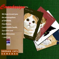 ポストカード4枚セット　湘南キャッツ　⑦　うす色ぶち猫 3枚目の画像