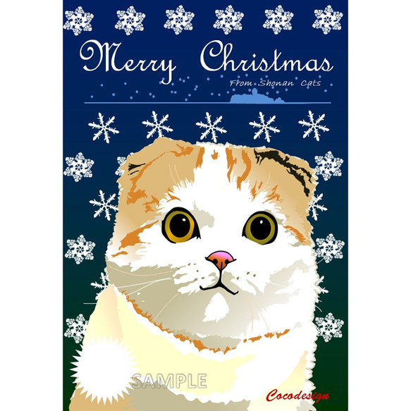 ポストカード 湘南Catsのクリスマス　①　ｽｺﾃｨｼｭﾌｫｰﾙﾄﾞ 1枚目の画像