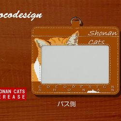 湘南Catsパスケース　004  ほんわか茶トラ 2枚目の画像