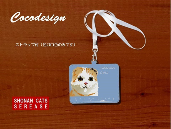 湘南Catsパスケース　004  ほんわか茶トラ 3枚目の画像