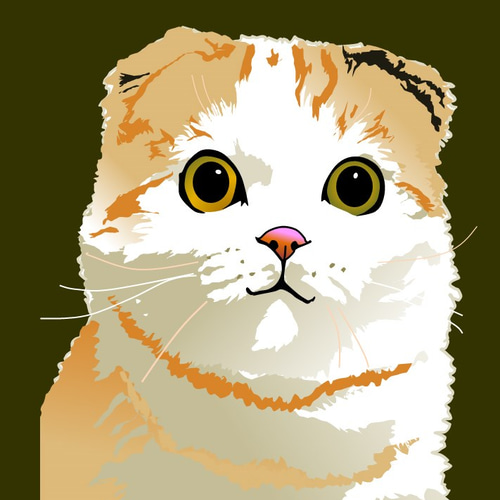 湘南Cats ポートレイト1 スコティッシュフォールド 絵画 cocodesign
