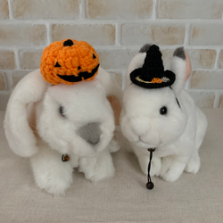 うさぎ用手編み帽子 かぼちゃ 5枚目の画像