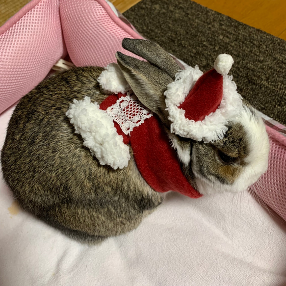 うさぎさんのマフラー クリスマス 8枚目の画像