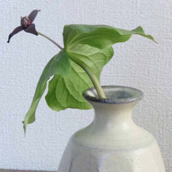 面取り一輪挿し（蘭越）/single flower vase 2枚目の画像