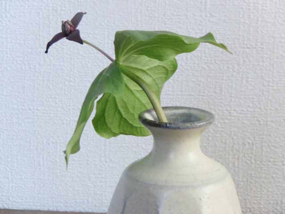 面取り一輪挿し（蘭越）/single flower vase 2枚目の画像