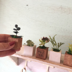 小さな小さなちーさな植木鉢＊5個セット コンビ 4枚目の画像