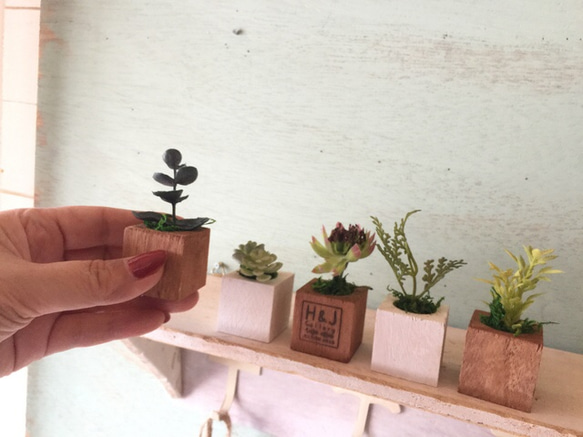 小さな小さなちーさな植木鉢＊5個セット コンビ 4枚目の画像