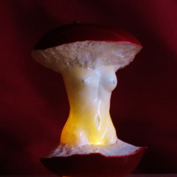 禁断の果実：Apple with LED Candle light 5枚目の画像