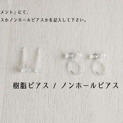ボタニカル多肉の耳たぶピアスorノンホールピアス(2) 5枚目の画像