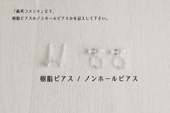 ボタニカル多肉の耳たぶピアスorノンホールピアス(2) 5枚目の画像