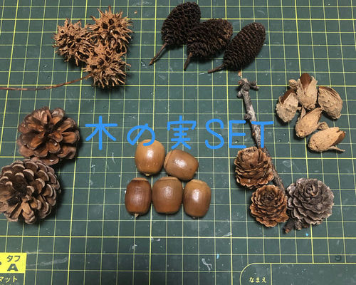 0_893aa862ef90578a30288e227e14