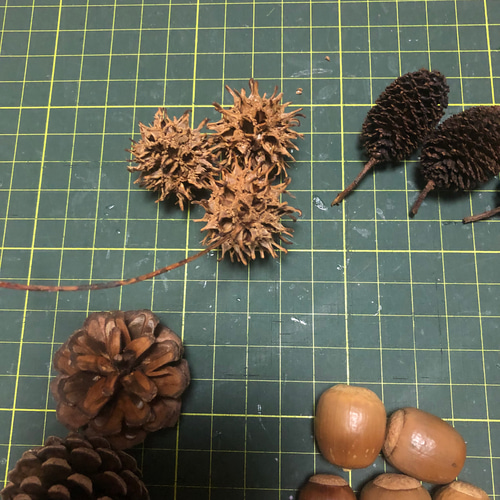 木の実セット ドングリ フウノミ 松ぼっくり ヤシャブシ カラ松の実