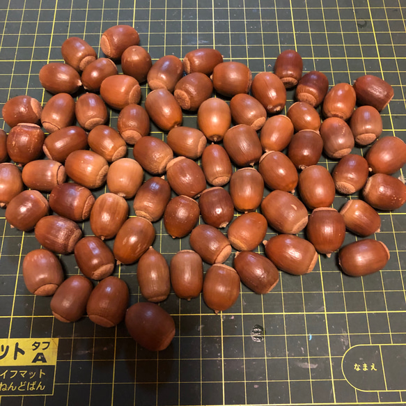 どんどんどんぐり NTC MONO どんぐりのぬいぐるみ2 – ネイチャーテクニカラー公式