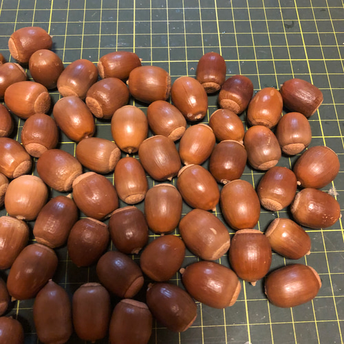 どんぐり 木曽材のふるさとどんぐり数量限定で販売します！ | こまむぐの