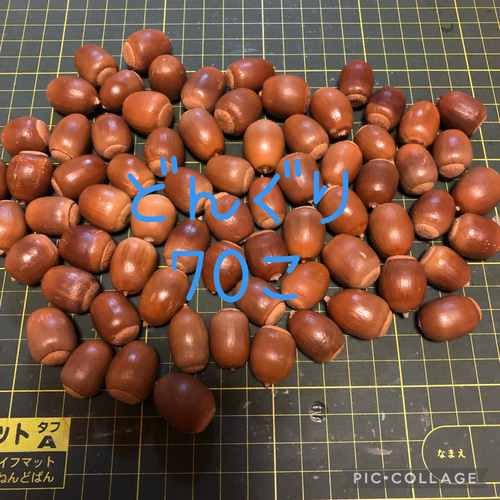 368 どんぐり ドングリ 70個 その他素材 みどいた 通販 12587231