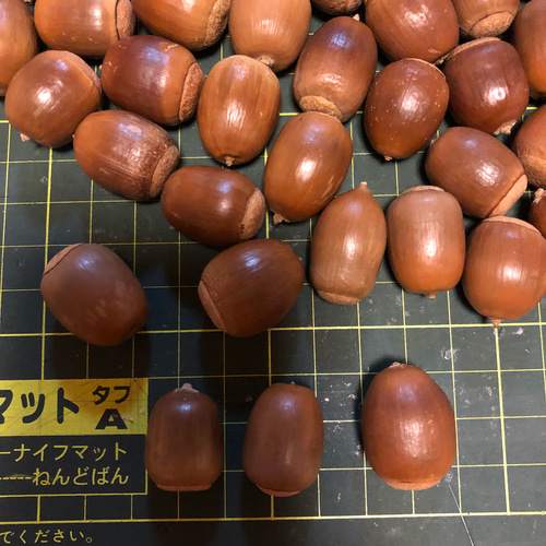 368 どんぐり ドングリ 70個 その他素材 みどいた 通販 12587231