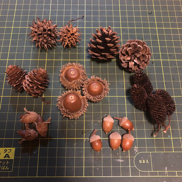 木の実セット きのみセット どんぐり 松ぼっくり 図画工作 リース花材  