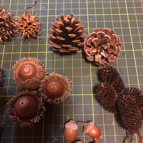 木の実セット きのみセット どんぐり 松ぼっくり 図画工作 リース花材