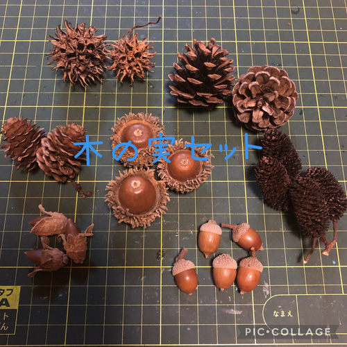 木の実セット きのみセット どんぐり 松ぼっくり 図画工作 リース花材