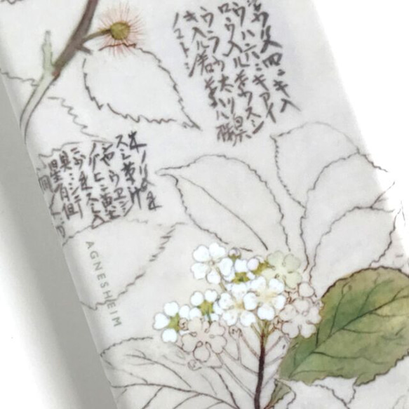 Edo Painter Flower Tree Sketch iPhone 智能手機殼 &lt;Oak Tree&gt; 第3張的照片