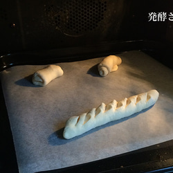 【送料無料】家で、自分で、家族で焼こう！パンの種(15個) 4枚目の画像
