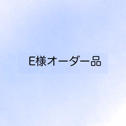 Eさまオーダー品＊サークルレースのペンケース 1枚目の画像