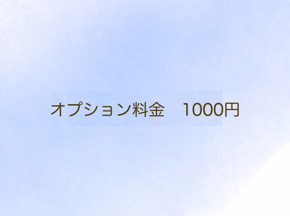 オプション料金　1000円 1枚目の画像