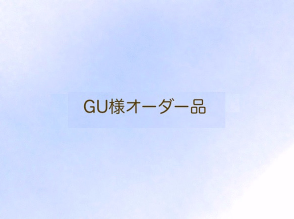 GUさまオーダー品☆ピスタチオ☆コットンキャンバスのショルダーバッグ（M) 1枚目の画像