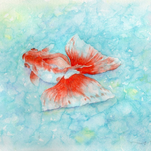 金魚 絵画 yoshi 通販 2103971｜Creema(クリーマ)