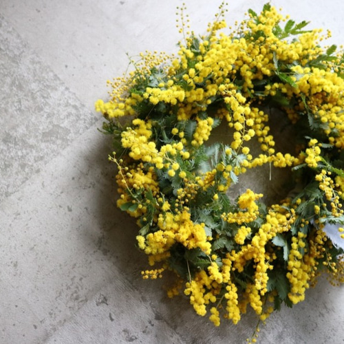 ミモザリース 20〜25㎝ 生花ミモザからドライフラワーになります