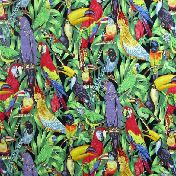 絵画　自然　鳥　小鳥　オウム　緑　絵　熱帯雨林　鳥　雑貨　バード 絵画 自然 鳥 小鳥 オウム 緑 絵 熱帯雨林 鳥 雑貨 バード