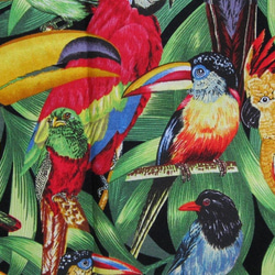 USAコットン★海外生地 インコ オウム 鳥　トロピカルバード　動物　アニマル　ハンドメイド 3枚目の画像