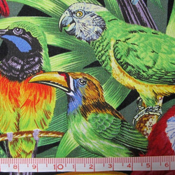 USAコットン★海外生地 インコ オウム 鳥　トロピカルバード　動物　アニマル　ハンドメイド 4枚目の画像