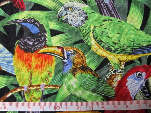 USAコットン★海外生地 インコ オウム 鳥　トロピカルバード　動物　アニマル　ハンドメイド 4枚目の画像
