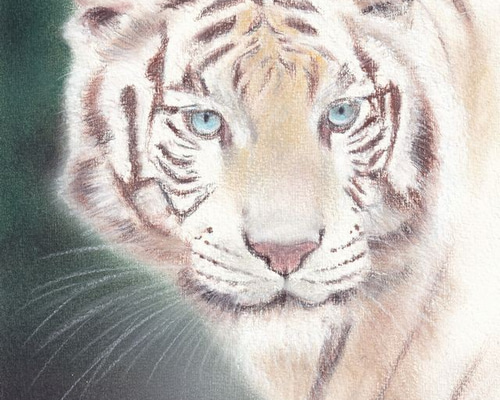 ホワイトタイガーと青いバラの絵画